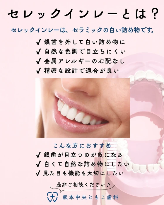 画像262