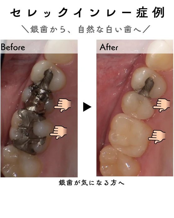 画像388